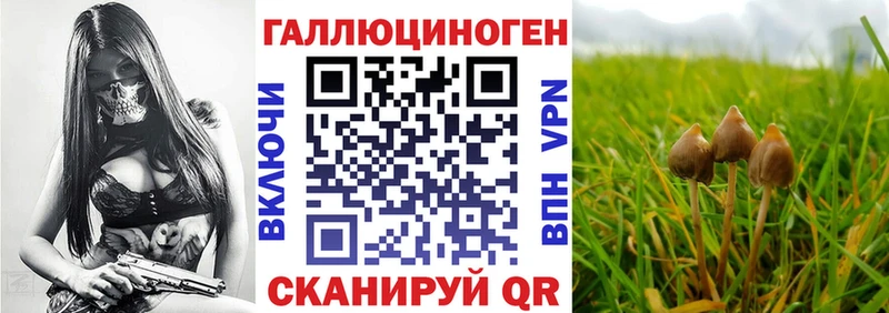 Галлюциногенные грибы Psilocybine cubensis  Купить закладки  Белокуриха 